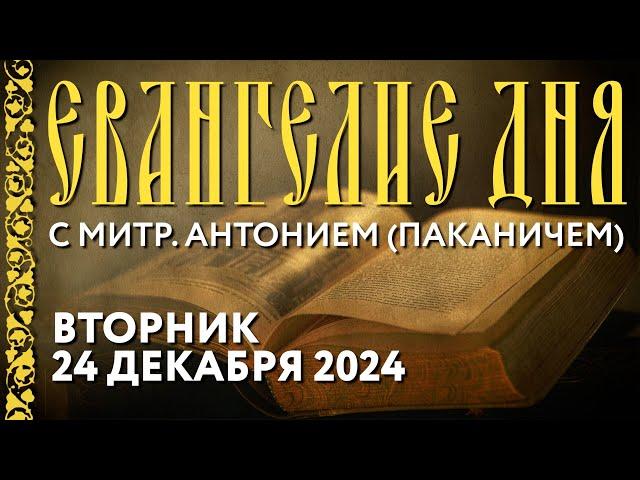 Толкование Евангелия с митр. Антонием (Паканичем). Вторник, 24 декабря 2024 года.