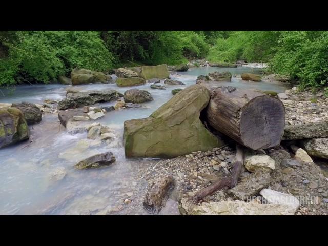 Coast of the Agura river. Sochi in Krasnodar Krai of Russia