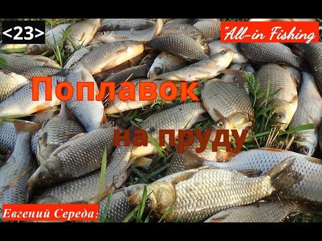 Поплавок на пруду. "All-in Fishing". Вып. 23.