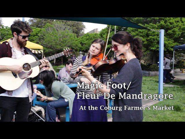 Fiddle tunes from Quebec:  Magic Foot/Fleur de Mandragore