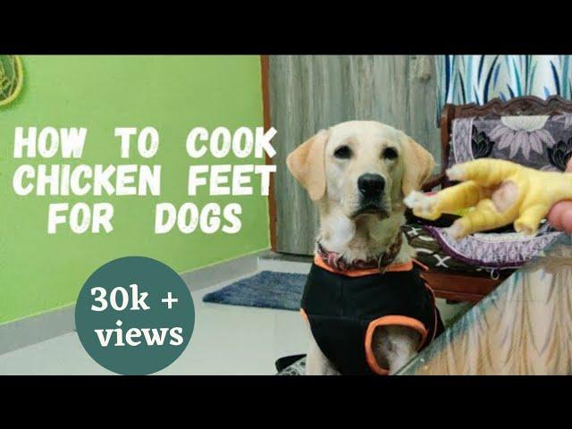 Easy way to cook chicken feet for dogs || Murgi ke panje kaise banaye ? #chickenfeet #labrador