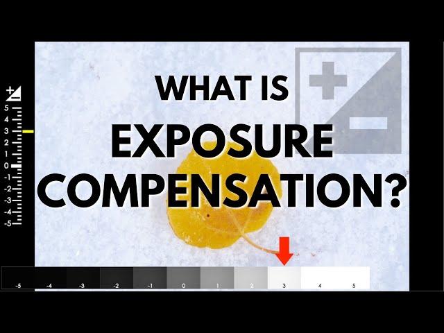 What is Exposure Compensation and How Do You Use It?