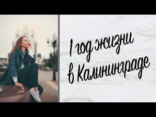 Плюсы и Минусы Калининграда | Отзыв о городе