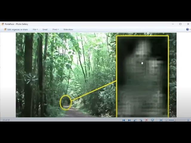 Portals in the Forest March 2023 (Mirrored)