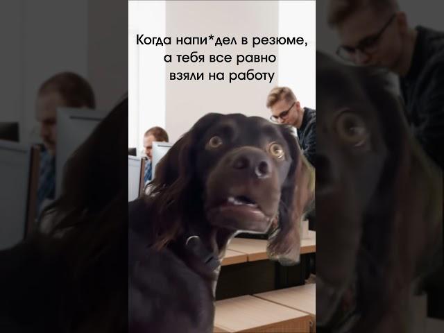 Кому знакомо? 