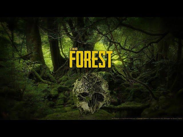 The Forest Как легко попасть в кратер