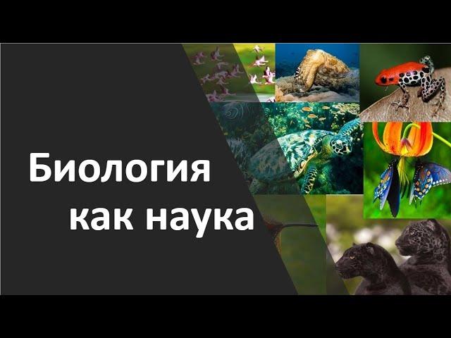 1.1 Биология как наука. Методы познания живой природы