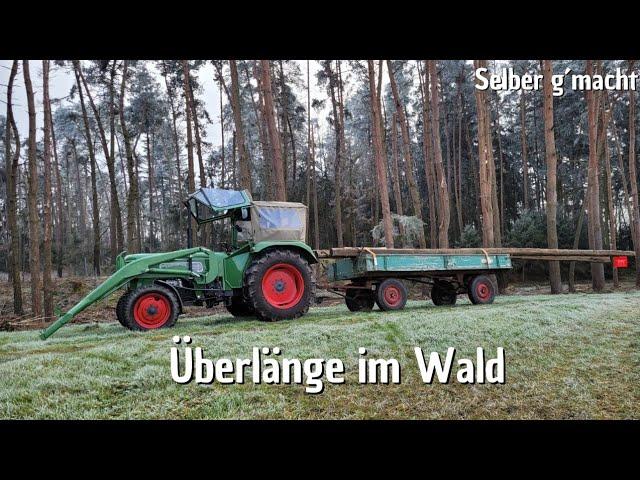 Fendt Farmer with extra length | Forestry chains on the trailer