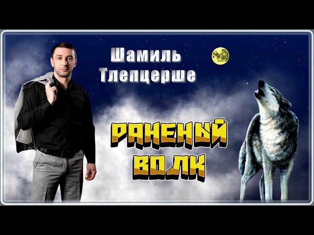 Шамиль Тлепцерше - Раненый волк | Шансон Юга