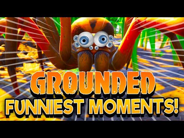 GROUNDED Funniest Moments Compilation!  Glitches, Fails, Funny Moments!