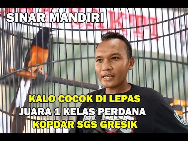 KALO COCOK DI LEPAS  SINAR MANDIRI