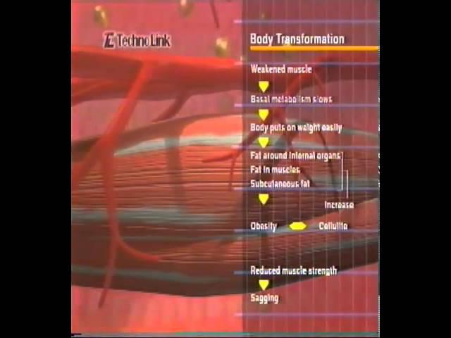TechnoLink@ Body Sculpturing M cube vawe фильм на английском 8 минут