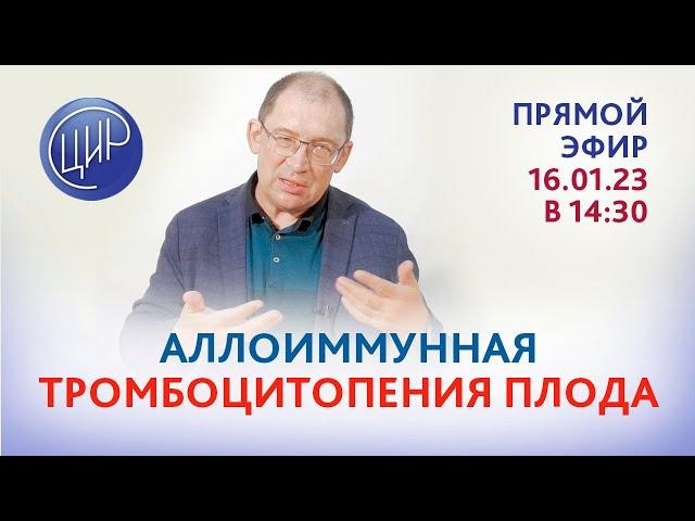 Аллоиммунная тромбоцитопения плода. Система HPA. Группы крови тромбоцитов. Эфир с И.И. Гузовым.