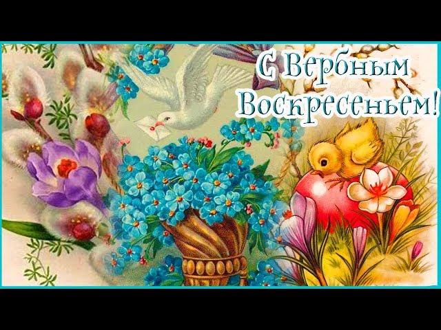 КОРОТКОЕ, КРАСИВОЕ ПОЗДРАВЛЕНИЕ С ВЕРБНЫМ ВОСКРЕСЕНЬЕМ!