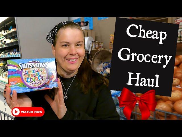 "Mobile Home Tiny Budget" Grocery Shopping & Crockpot Meal