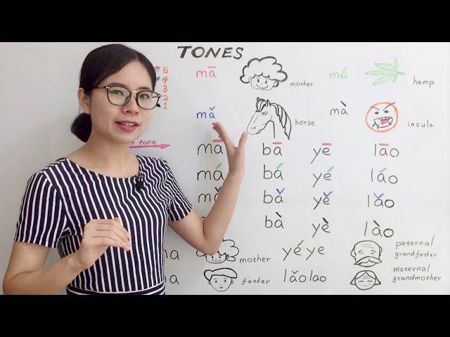 The Tones in Mandarin Chinese | Beginner Lesson 2 | HSK 1