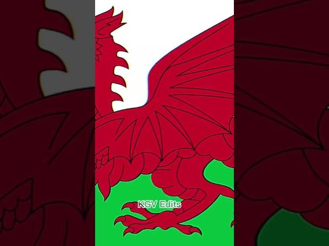 Wales VS USA