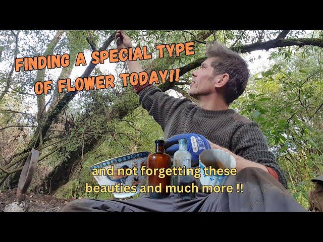 Close Call: Almost Crushing A Beautiful Flower While Mudlarking—my Epic Discoveries Of The Day!