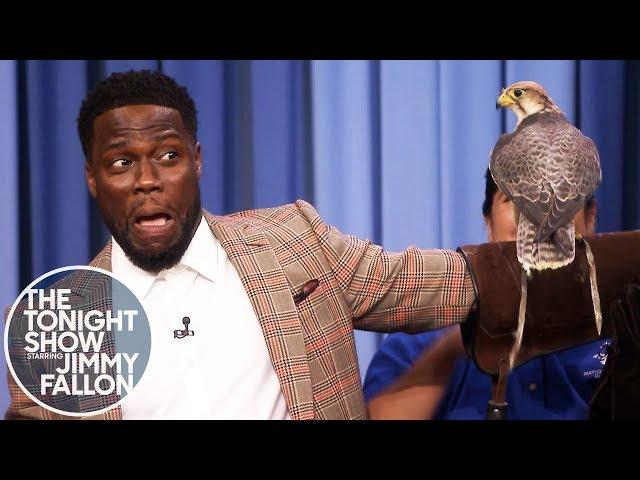 Kevin Hart Is Terrified of Robert Irwin's Animals