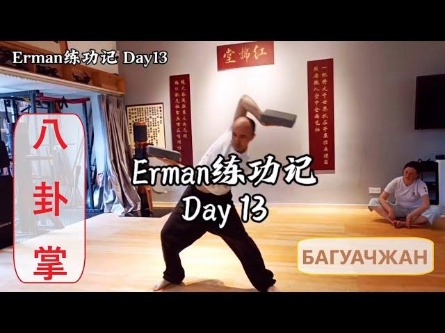 КИТАЙ 2024: видео № 109 – “БАГУАЧЖАН” – Ладонь 8-ми Триграмм  八卦掌 Baguazhang.