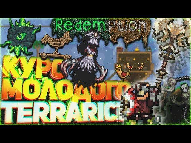 Курс Молодого Terrariста | Redemption Edition | Лучший гайд по террарии | Часть 1