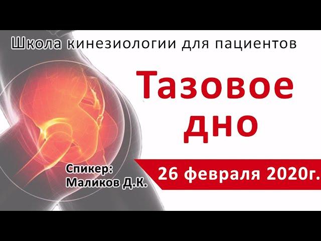 #6 Школа Кинезиологии 26 февраля 2020г. Тазовое дно.