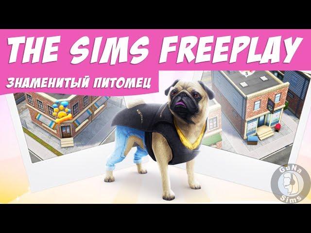 The Sims FreePlay Событие Знаменитый питомец / Прохождение Симс Фриплей