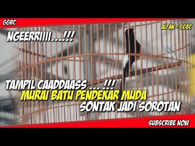 Nnggeerrriiii ... !!! TAMPIL CADAS MURAI BATU PENDEKAR MUDA SONTAK JADI SOROTAN