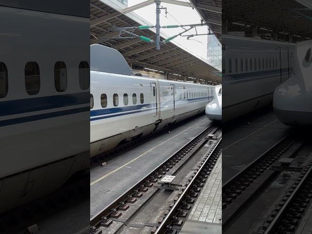 Shinkansen, Japan bullet train speed of 320 km/h #travel #tokyo #japan #instagram@Seedurga
