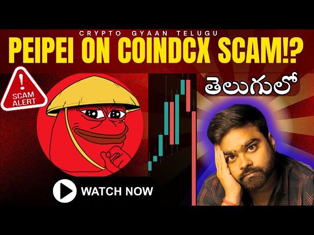 PEIPEI ON COINDCX SCAM!? || DON'T BUY IT ON COINDCX || TELUGU||