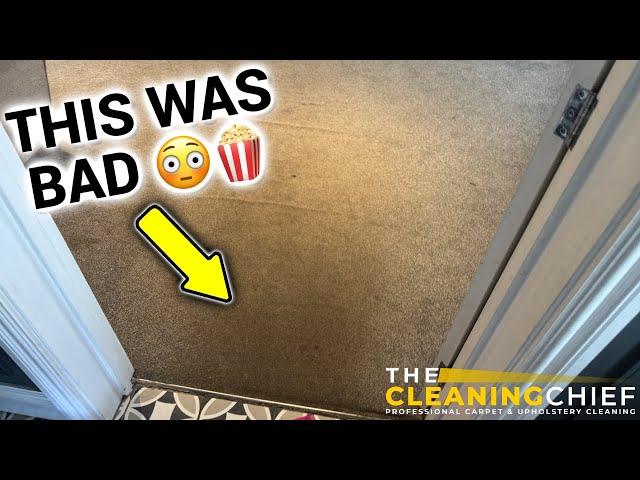 FULL LOUNGE CARPET CLEANING PROCESS  | PROFESSIONAL CARPET CLEANING UK | The Cleaning Chief