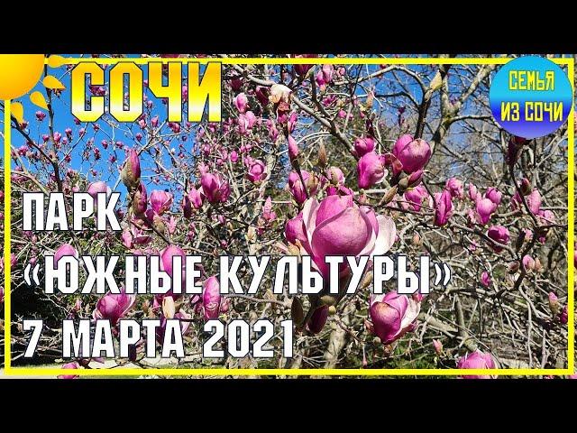 СОЧИ  ПАРК "ЮЖНЫЕ КУЛЬТУРЫ" | Субтропический рай в отдельно взятом городе