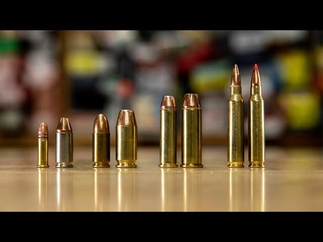 Ammo Types & Calibers