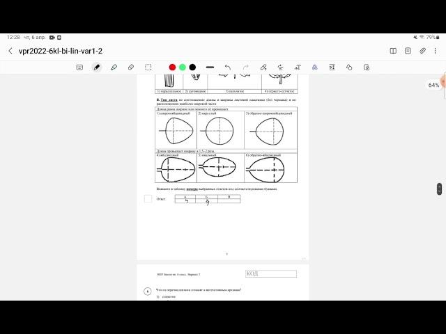 ВПР по биологии 6 класс (Линейная программа)