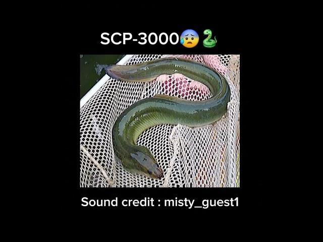 SCP-3000 "Anantashesha" #short #notreal #eel