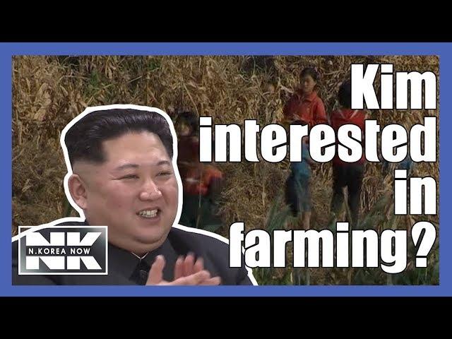 How did Kim end up in Beijing Agriculture Science Center?