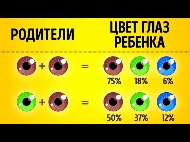 Как будет выглядеть ваш будущий ребенок