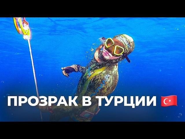 Подводная охота на Средиземном море / Огромные ГРУПЕРЫ, фан ФРИДАЙВИНГ и прозрак