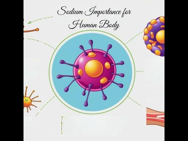 Sodium Importance for Human Body specially in mineral or ion form