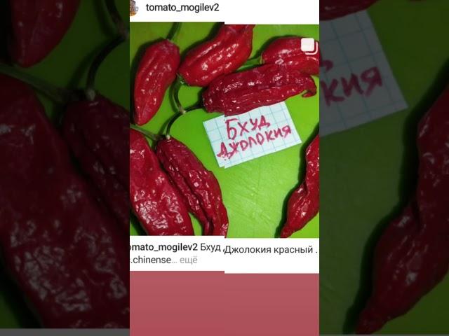 Бхуд Джолокия . Суперхот .