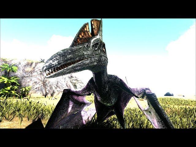 ПРИРУЧИЛ ПТЕРАНАДОНА - ARK SURVIVAL EVOLVED JPE #3