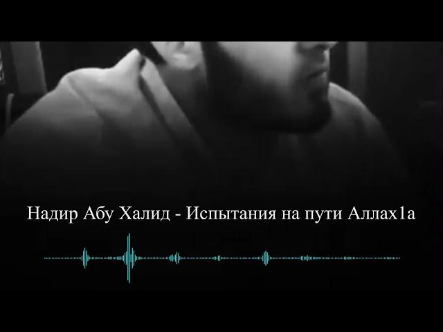 Надир абу Халид - Испытания на пути Аллах1а #надирабухалид #Коран #Ислам #Сунна