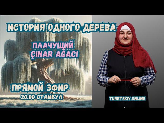 Турецкий с ароматом кофе. "Плачущий Çınar ağacı"