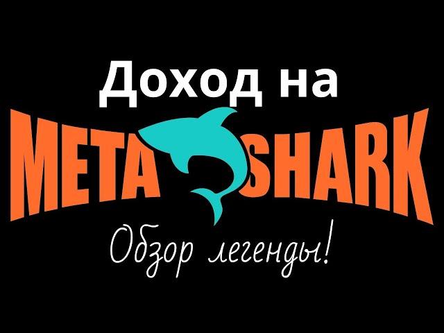 metashark обзор презентация меташарк