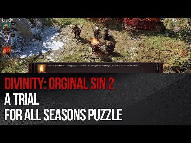 Divinity: Original Sin 2 - A Trial for All Seasons puzzle