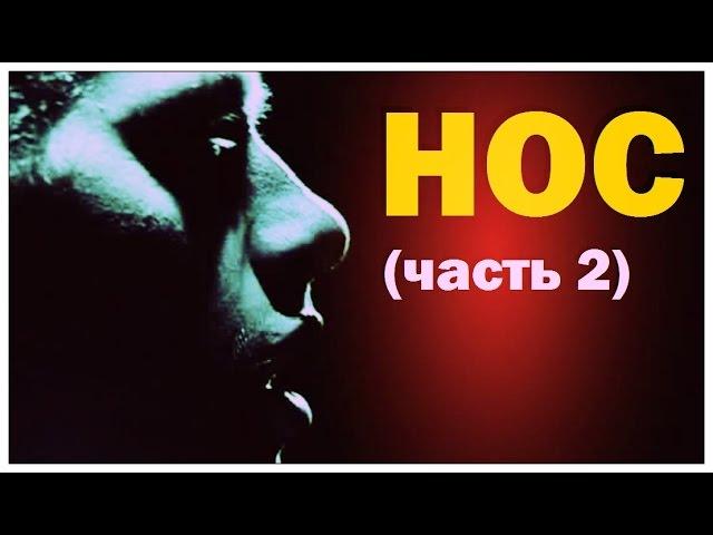 Галилео. Нос (часть.2)