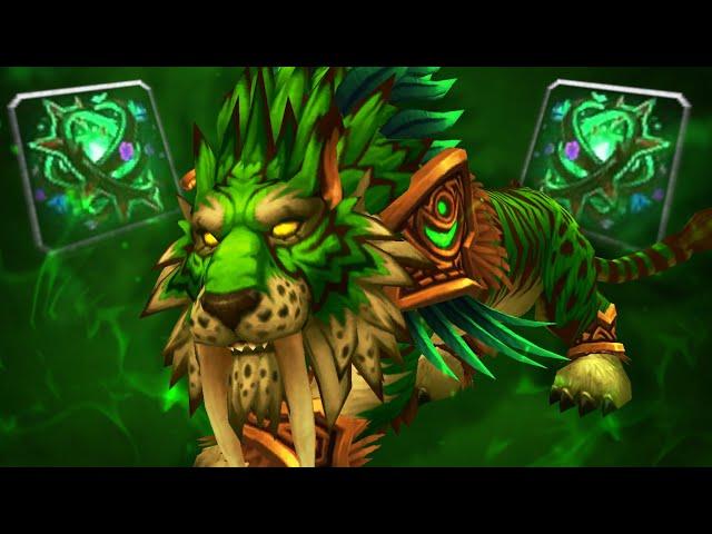 Feral Druids Are BACK And Scarier Than Ever! (5v5 1v1 Duels) - PvP WoW: The War Within