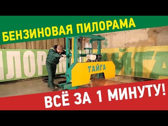 Бензиновая пилорама. Все о бензиновой пилораме "Тайга Т-2Б" за 1 минуту.