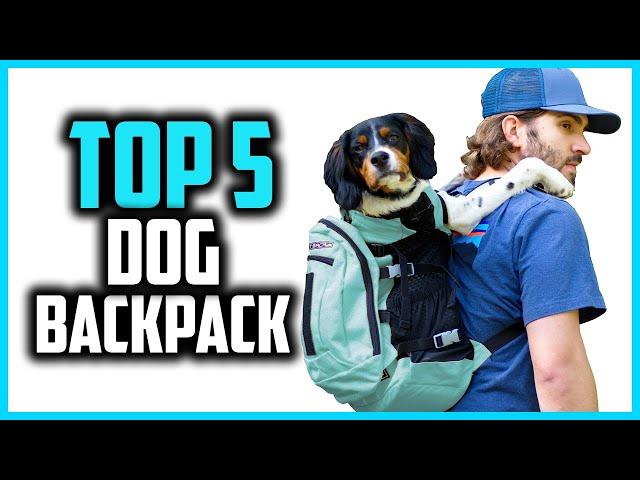 Best Dog Backpack Carriers in 2024