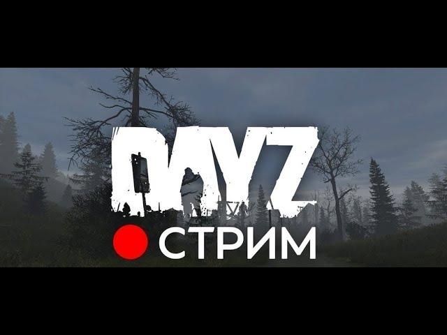 Стрим по Дейзу || Впервые в игре DZN Cherno 1